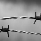 barbed-wire-1269430__340.jpg