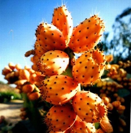03_Erotas